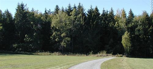 Hotel Am Bad-Wald Bad Liebenzell Bagian luar foto