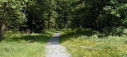 Hotel Am Bad-Wald Bad Liebenzell Bagian luar foto